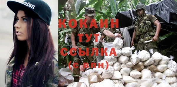 стаф Кодинск