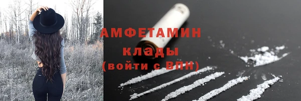 стаф Кодинск