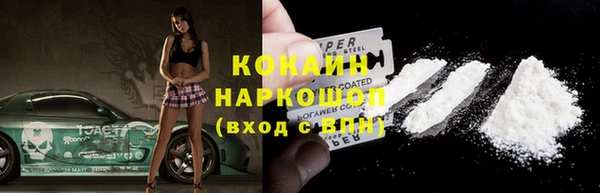стаф Кодинск