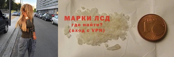 стаф Кодинск