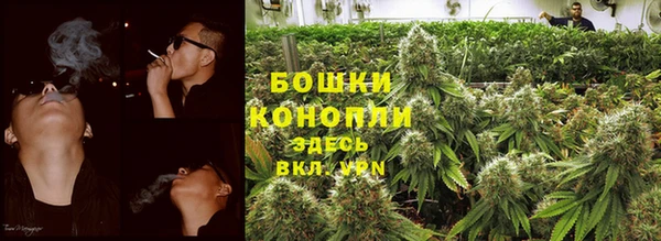 соль курить ск Козловка