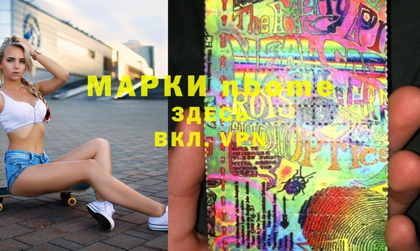 стаф Кодинск