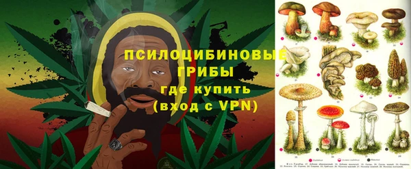 соль курить ск Козловка