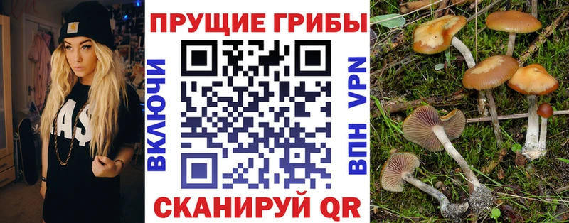 Галлюциногенные грибы мухоморы  mega ONION  Воронеж 
