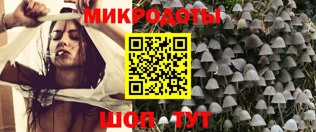 Псилоцибиновые грибы Psilocybine cubensis Воронеж