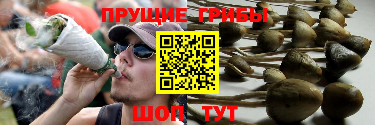 Воронеж  Псилоцибиновые грибы прущие грибы  Галлюциногенные грибы Cubensis  Вход с VPN 